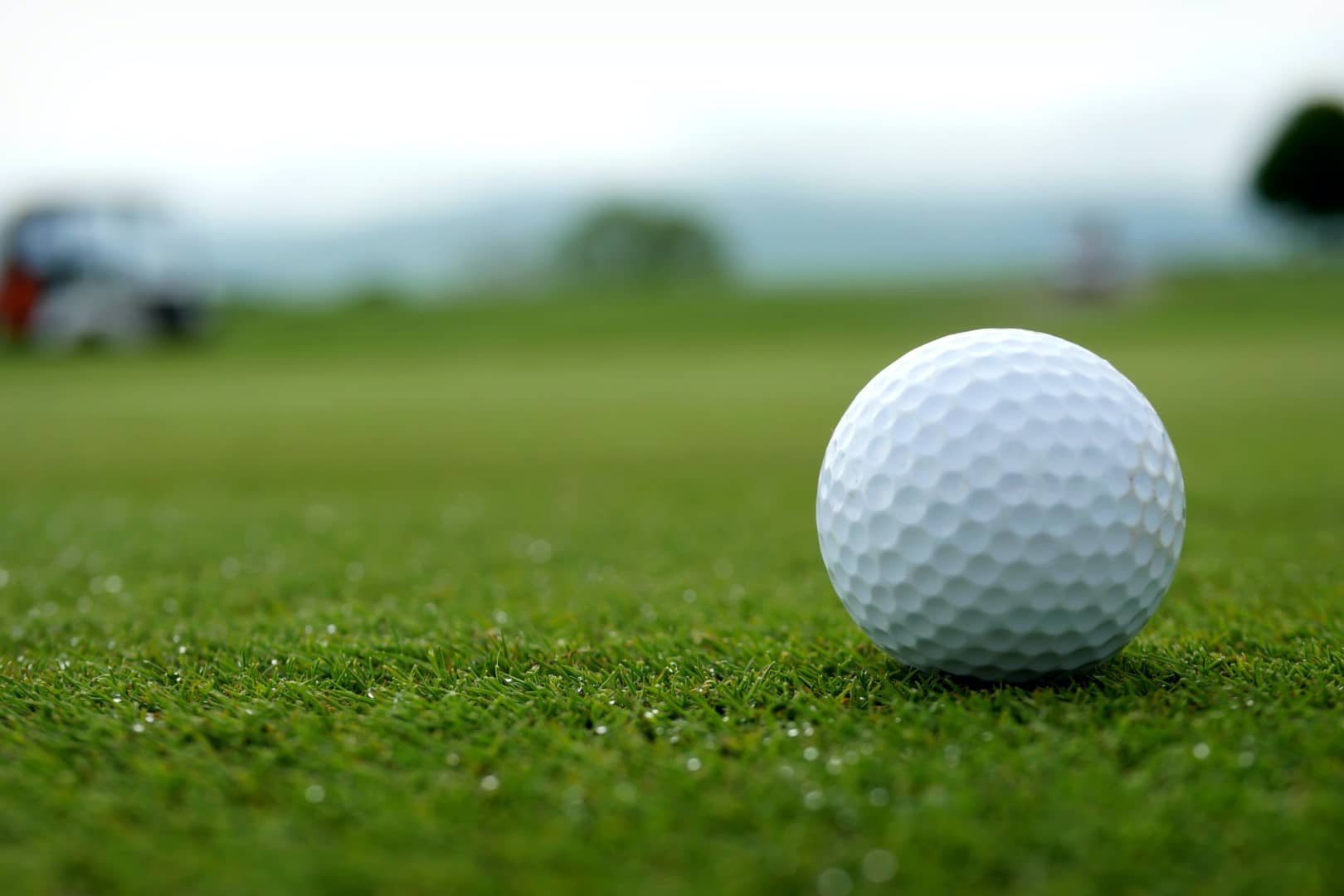 A close photograph of a golf ball on the green grass.