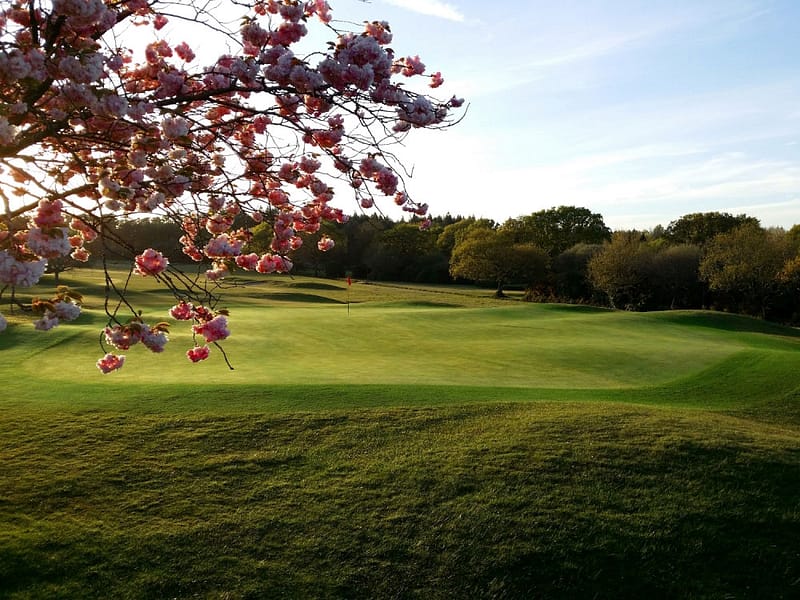 Dorset Golf Course
